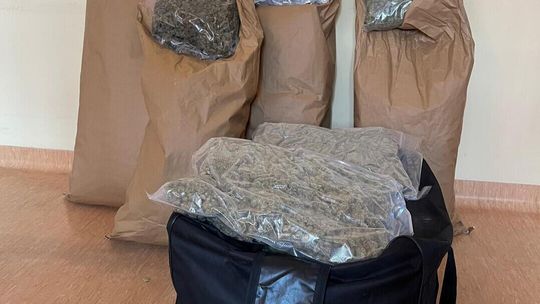 50 kg marihuany, amfetamina i kokaina. Opolscy kryminalni rozbili narkotykową szajkę