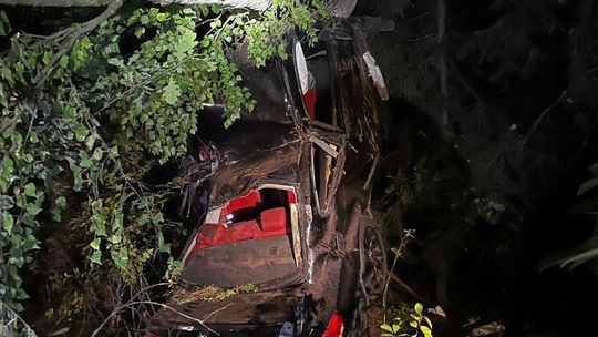 Auto zawisło na drzewie! Groźny wypadek na DK46