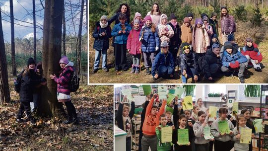 Drugoklasiści z Tarnowa Opolskiego uczyli się „kąpieli w lesie”. Warsztaty pokazały, jak natura wspiera zdrowie