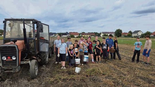 Dzieci ruszyły na wykopki, a wieczorem była muzyka i zabawa. Tak wyglądał Kartoffelfest w Krzyżowej Dolinie