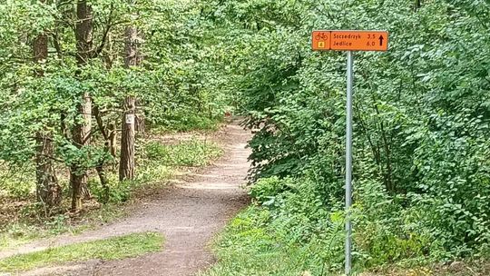 Kolejna część „Szóstki” oznakowana – od Zawady po Krasiejów