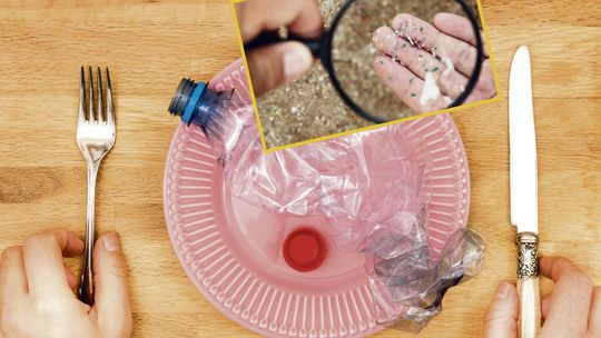 Niewidzialny problem. Jak mikroplastik przenika do organizmu