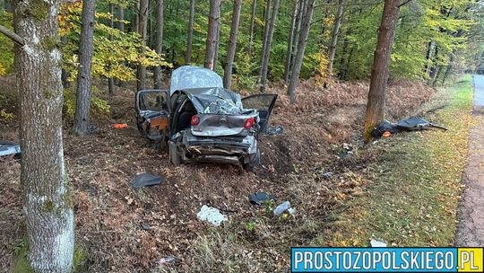 NOWE FAKTY: Śmiertelny wypadek w Zagwiździu. 18-letni kierowca usłyszał zarzut