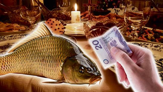 O (NIE)DROGIM KARPIU NA ŚWIĄTECZNYM STOLE