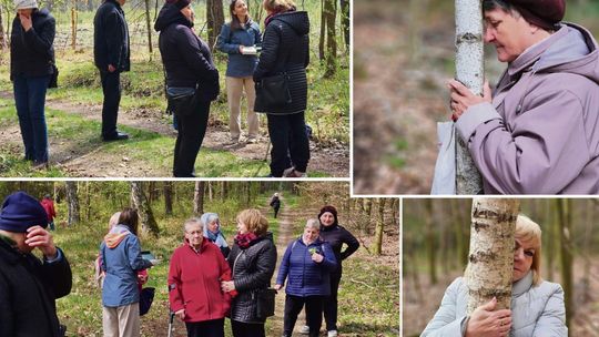 Seniorzy z Tarnowa Opolskiego zanurzyli się w „leśnej kąpieli”. Zajęcia przyniosły spokój i wyciszenie