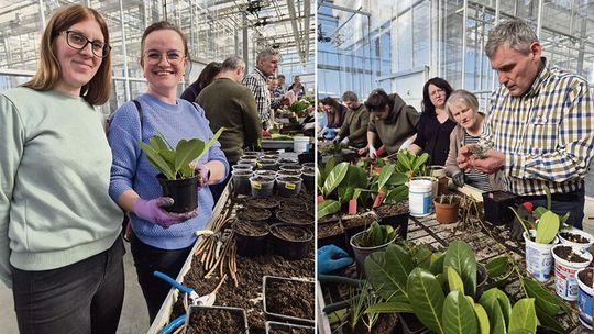 Szkolili się z sadownictwa  i ogrodnictwa