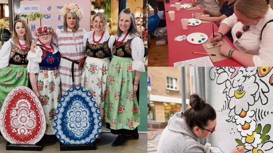 Z kroszonki na filiżankę, czyli kwiaty, które stały się opolskim znakiem