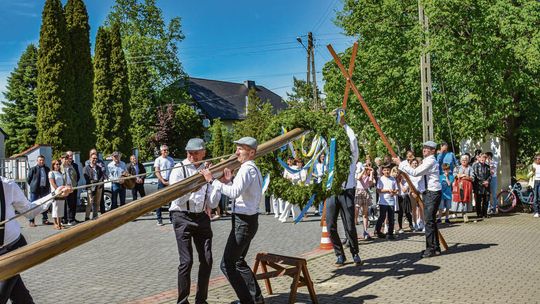 Żelazna świętuje Maibaumfest 2026! Tradycyjne stawianie drzewka majowego znów połączyło mieszkańców