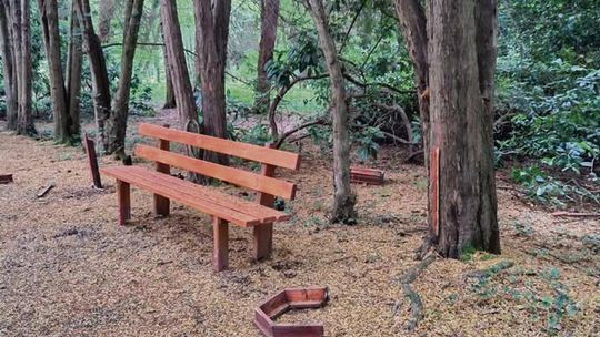 Zniszczona infrastruktura w arboretum w Lipnie. Leśnicy apelują: „To nasze wspólne dobro”