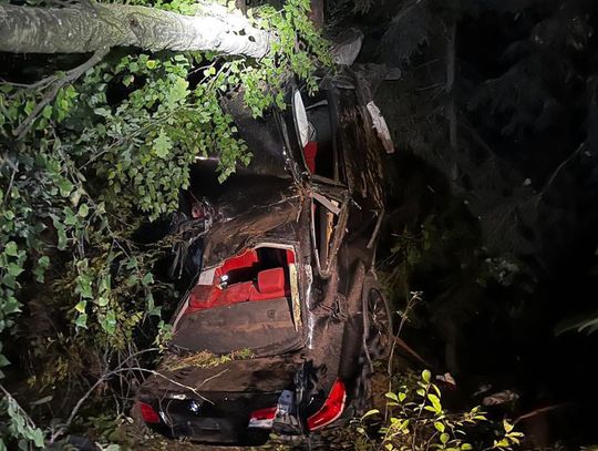 Auto zawisło na drzewie! Groźny wypadek na DK46