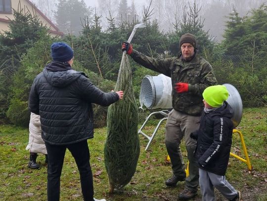Choinkobranie w Leśnictwie Dąbrowa przyciągnęło całe rodziny Choinkobranie w Leśnictwie Dąbrowa przyciągnęło całe rodziny