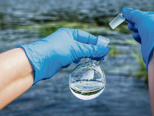 Jak ksenobiotyki wpływają  na organizmy wodne i nie tylko…