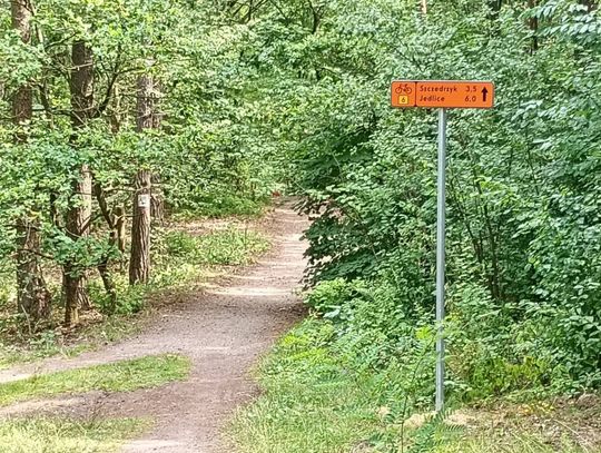 Kolejna część „Szóstki” oznakowana – od Zawady po Krasiejów