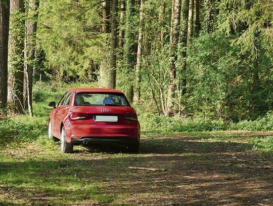 Konfiskata pojazdów i surowe kary za nielegalny wjazd do lasów