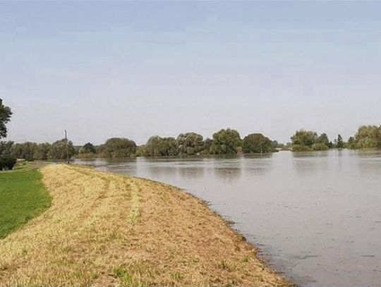 Lewostronne wały Odry pod lupą ekspertów Lewostronne wały Odry pod lupą ekspertów