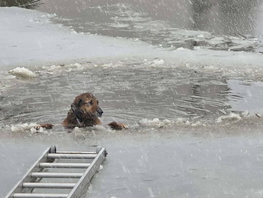 Lód okazał się pułapką - dramat na zamarzniętym zbiorniku