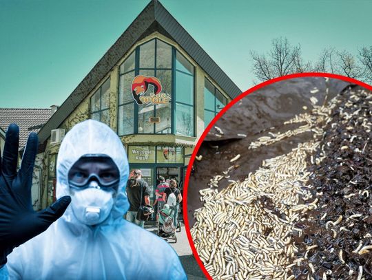 Makabryczne odkrycie w opolskim zoo. Zwierzęta gniły od lat