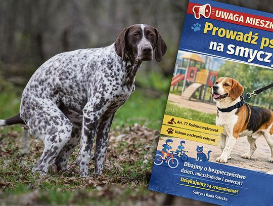 „Niespodzianki”  na trawnikach  i psy bez kontroli