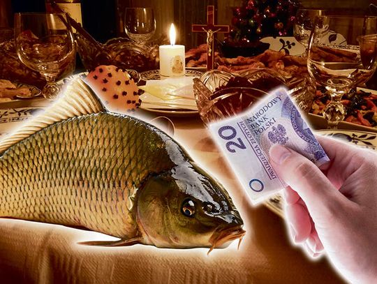 O (NIE)DROGIM KARPIU NA ŚWIĄTECZNYM STOLE O (NIE)DROGIM KARPIU NA ŚWIĄTECZNYM STOLE