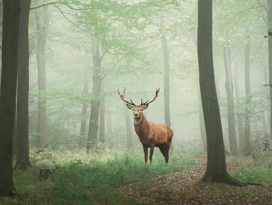 Odpowiedzialnie cieszmy się naturą