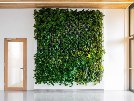 Ogród wertykalny jako stały element biura Ogród wertykalny jako stały element biura