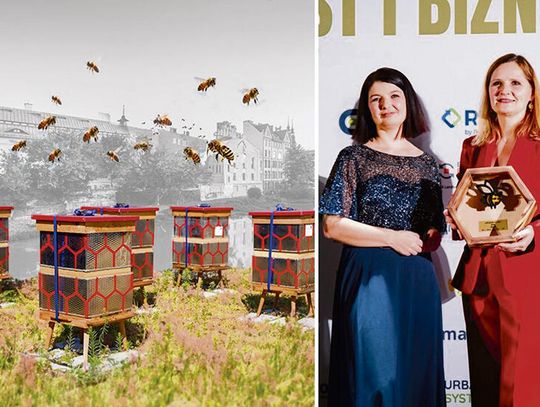 Ule wykonane z bębnów pralek w ramach projektu „Pasieka w sercu Opola”