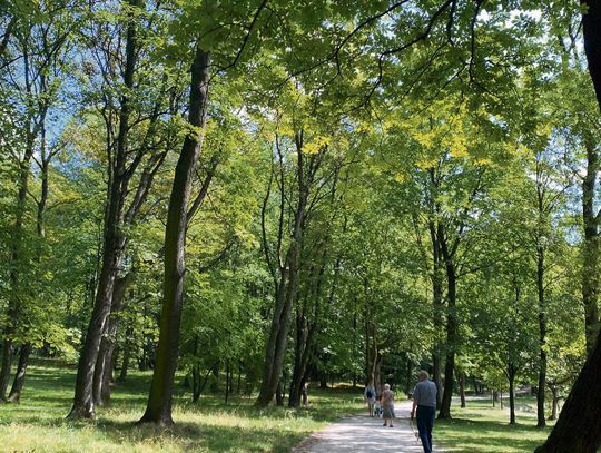 Parki - zielone płuca miasta