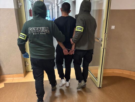 Perfumy, narkotyki i kastet - czeska grupa zatrzymana w Opolu