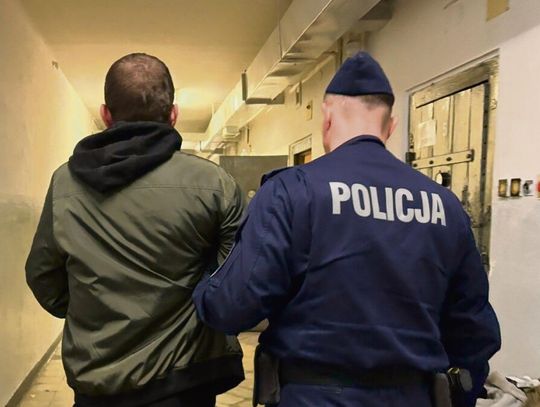 Miejsce wypadku na trasie Kup–Murów, gdzie pijany kierowca uderzył w drzewo