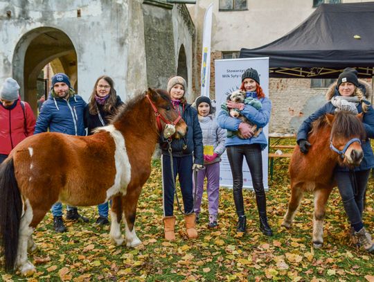 Postanowili pomóc zwierzętom