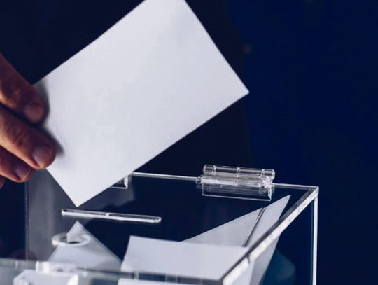 Radna rezygnuje, wkrótce wybory uzupełniające