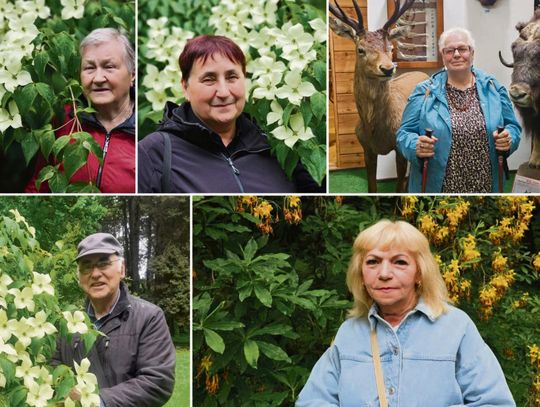 Seniorzy zwiedzający ogród dendrologiczny w Lipnie w otoczeniu starych drzew i kwitnących krzewów.