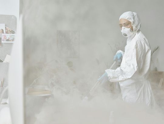 Skuteczne metody zwalczania szkodników: Zamgławianie ULV i Specjaliści od Pest Control