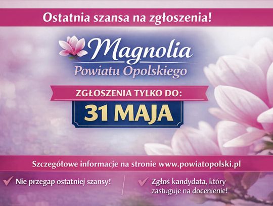Symboliczna statuetka Nagrody Magnolia Powiatu Opolskiego na tle materiałów konkursowych