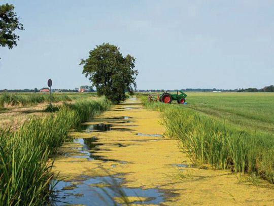 Strefy buforowe - naturalna ochrona wód i obszarów wrażliwych