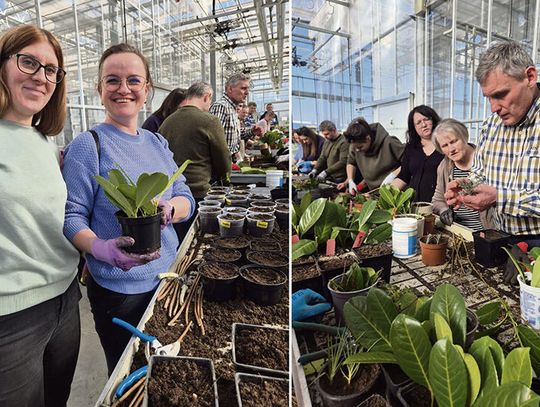 Szkolili się z sadownictwa  i ogrodnictwa
