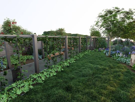 Trzy gminy z powiatu opolskiego z dofinansowaniem na „Skwery z klimatem” Trzy gminy z powiatu opolskiego z dofinansowaniem na „Skwery z klimatem”