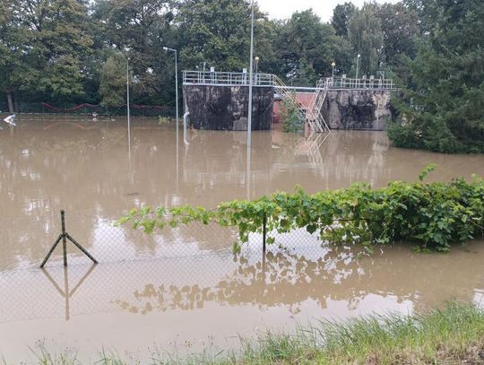 Rzeka Ścinawa Niemodlińska podczas powodzi we wrześniu 2024 roku w Tułowicach – widoczne zalane tereny i zagrożone budynki.