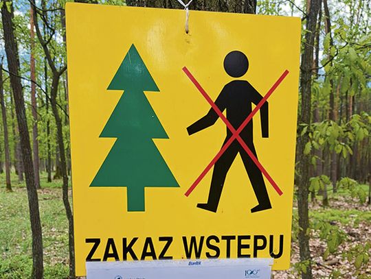 Uwaga! Są zakazy wstępu do lasów