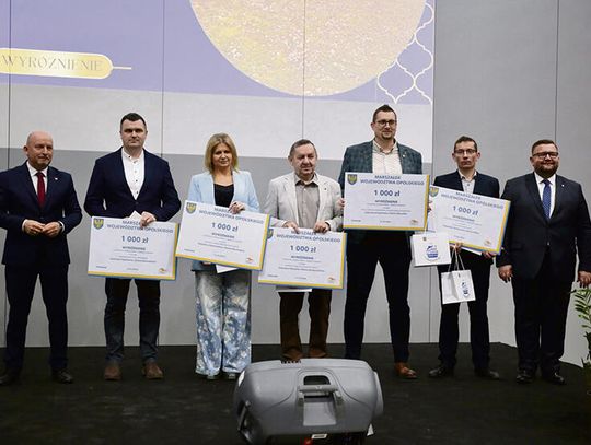 Wawelno nagrodzone za odnowę kapliczki