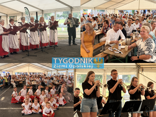 Publiczność podczas Trzeciego Koncertu Powiatowego Mniejszości Niemieckiej w Popielowie, występ zespołów folklorystycznych i Andrei Rischki na scenie plenerowej w województwie opolskim.