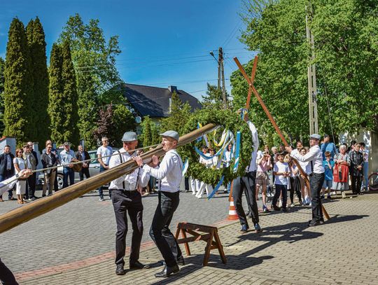 Uroczyste stawianie drzewka majowego podczas Maibaumfest w Żelaznej