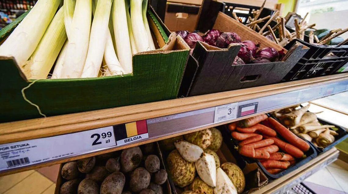 Belgijski por i polska cebula…