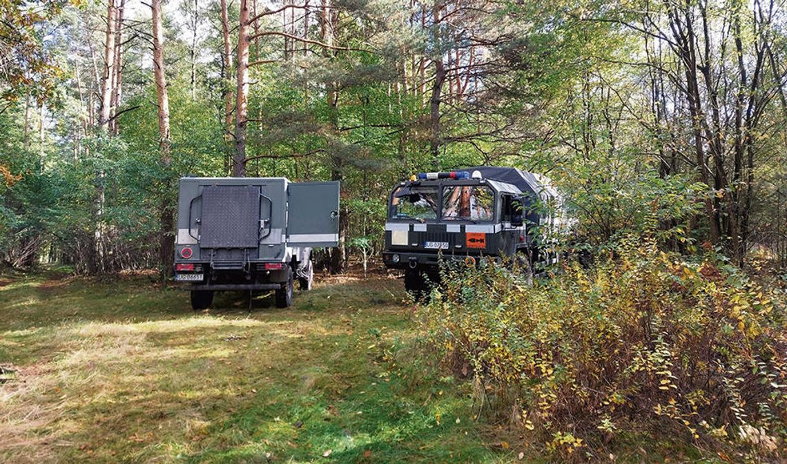 Grzyby z jednej strony, granaty  z drugiej