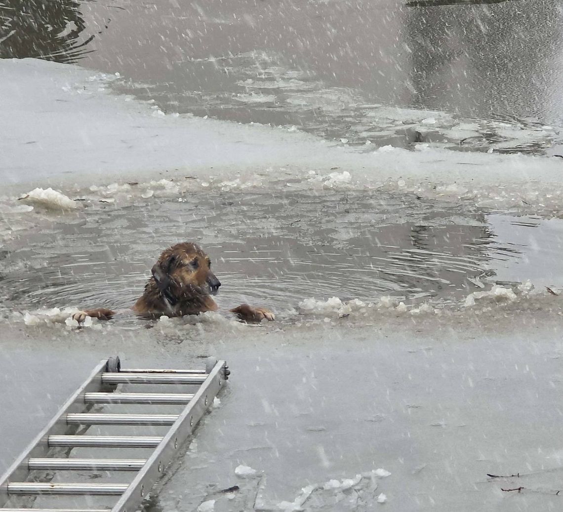 Lód okazał się pułapką - dramat na zamarzniętym zbiorniku
