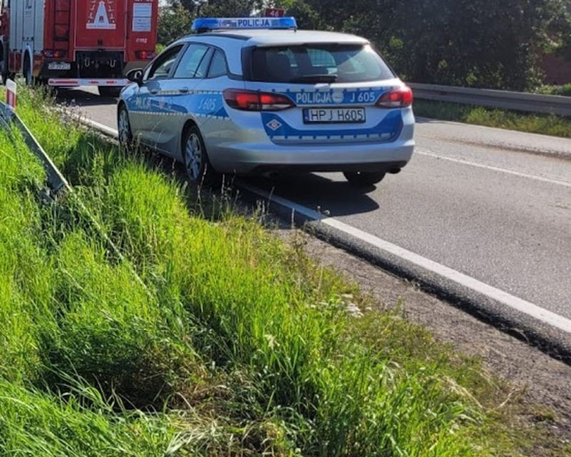 Makabryczne odkrycie przy DK46. Ustalono tożsamość mężczyzny znalezionego w zaroślach Policja i prokurator prowadzą czynności w miejscu odnalezienia zwłok mężczyzny przy drodze krajowej nr 46 między Opolem a Lędzinami.