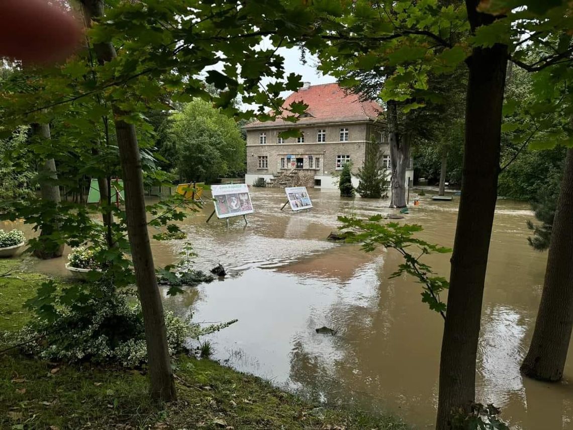 Niemodlin: fala powodziowa była wyższa niż w 1997 i 2010 roku.