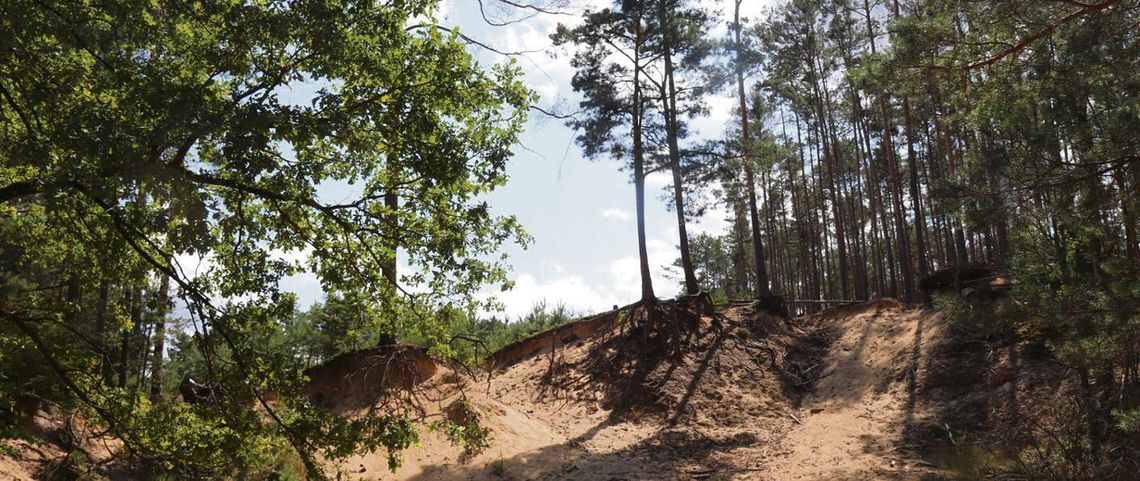 Nowe rezerwaty przyrody w powiecie opolskim?