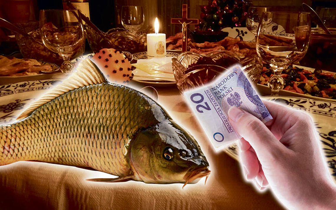 O (NIE)DROGIM KARPIU NA ŚWIĄTECZNYM STOLE