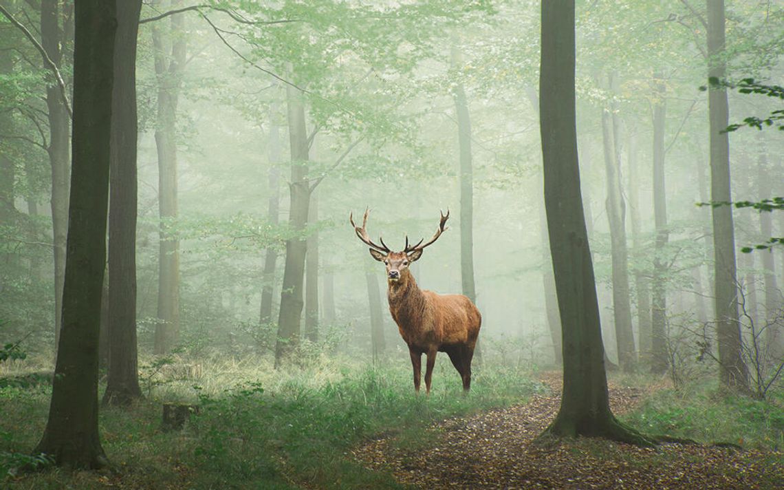 Odpowiedzialnie cieszmy się naturą